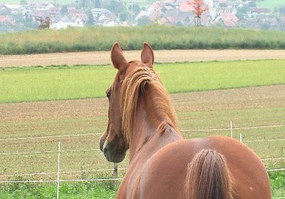 mo ONE IMGA0295 640x360