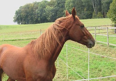 mo ONE IMGA0296 640x360