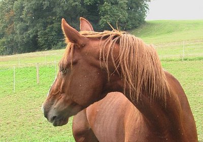 mo ONE IMGA0298 640x360