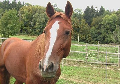 mo ONE IMGA0299 640x360