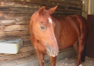 mo jully IMGA0251 640x360