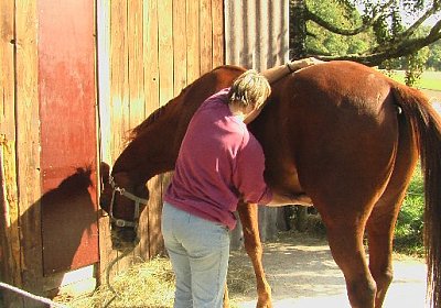 mo jully IMGA0257 640x360