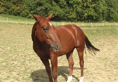 mo jully IMGA0265 640x360