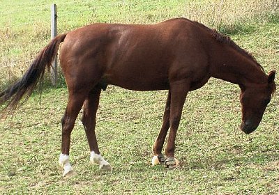 mo jully IMGA0270 640x360