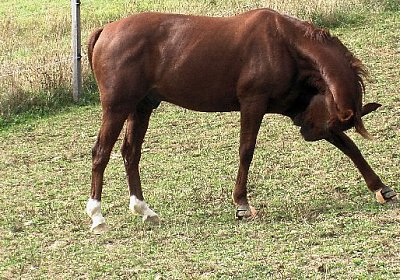 mo jully IMGA0271 640x360