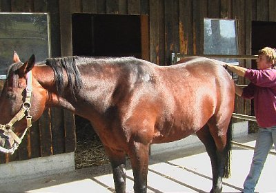 mo michigan IMGA0250 640x360