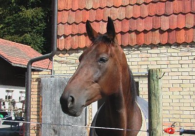 mo quicksom IMGA0232 640x360