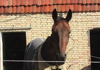 mo quicksom IMGA0233 640x360