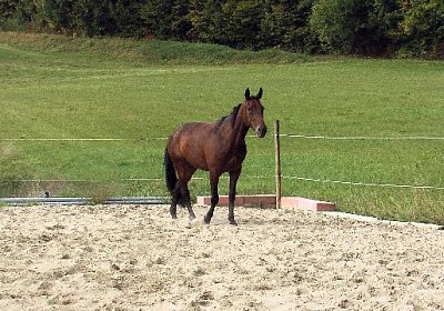 mo quicksom IMGA0274 640x360