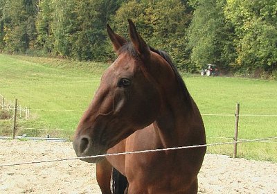 mo quicksom IMGA0276 640x360