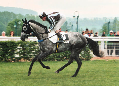 Brigitte Renk mit Ramajana