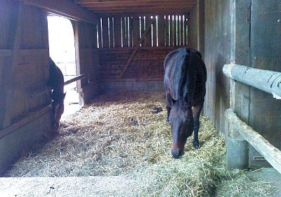 Galion noch im chambre s?par