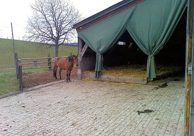 Umgebungserforschung