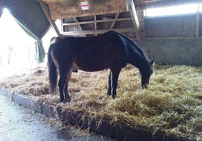 Das neue Schlafzimmer