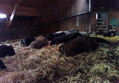 Blick auf die Nachbarn