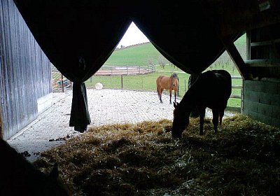 Blick auf dem Hotelzimmer