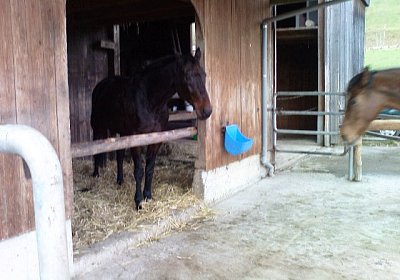 Noch etwas Geduld...