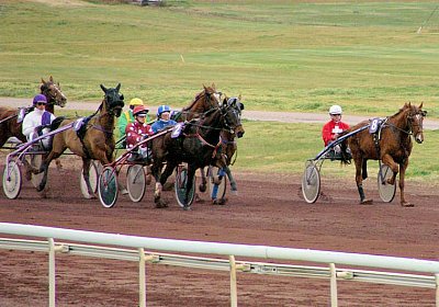 sc loxleyPICT0042.jpg