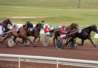 sc loxleyPICT0043.jpg