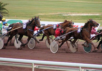 sc loxleyPICT0045.jpg