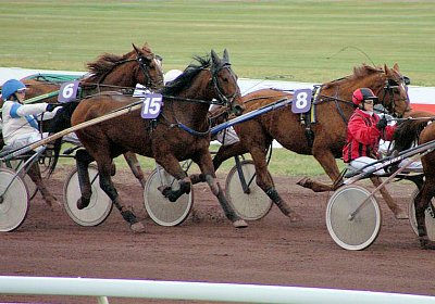 sc loxleyPICT0046.jpg