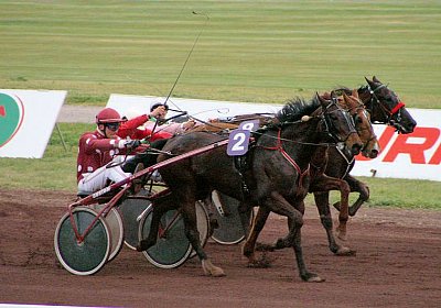 sc loxleyPICT0048.jpg