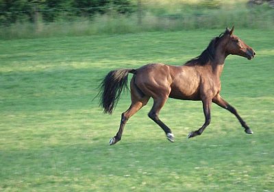 Melbourne1 062a 640x480.jpg