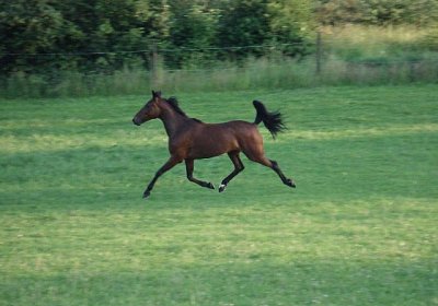 Melbourne1 063a 640x480.jpg