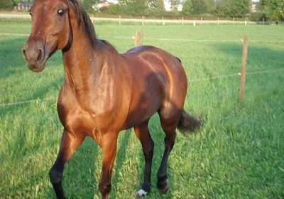 Melbourne1 073a 640x480.jpg