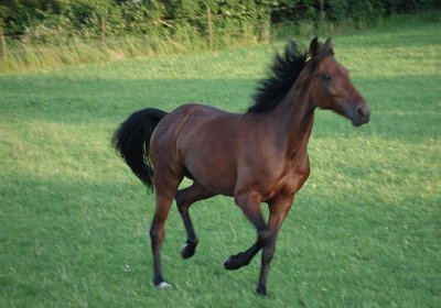 Melbourne1 078a 640x480.jpg