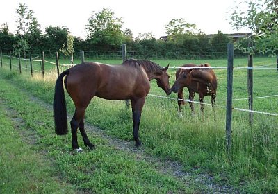 Melbourne1 092a 640x480.jpg