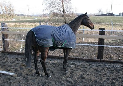 IMG 0673 zauberlied 600x400.jp...