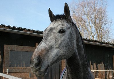 IMG 0677 600x400.jpg