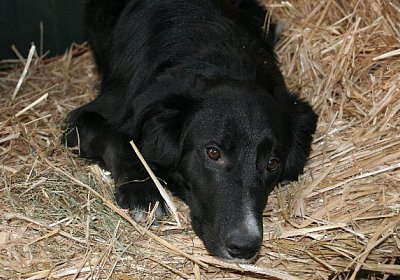 IMG 0722 jimmy600x400.jpg