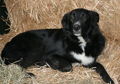 IMG 0730 jimmy600x400.jpg