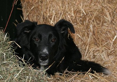 IMG 0734 jimmy600x400.jpg