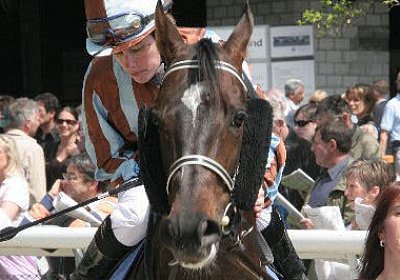 cm royal1 IMG 2016 600x400.jpg