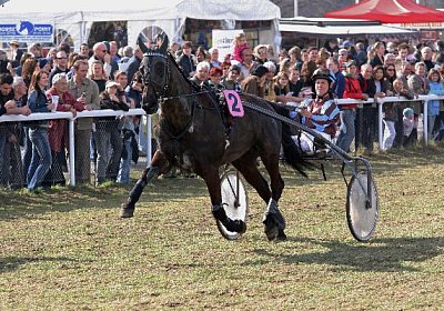 IMG 7722 600x400.jpg