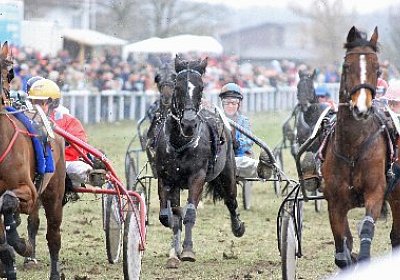 gIMG 7215d 400x266.jpg