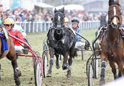 gIMG 7216d 400x266.jpg