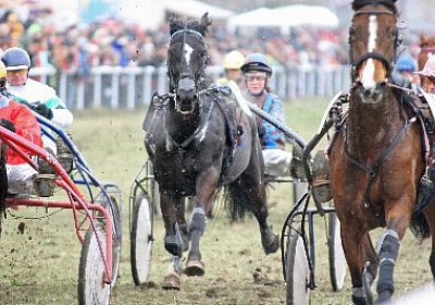 gIMG 7217d 400x266.jpg