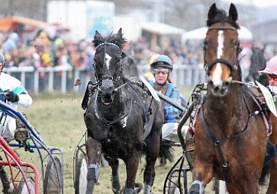 gIMG 7218d 400x266.jpg