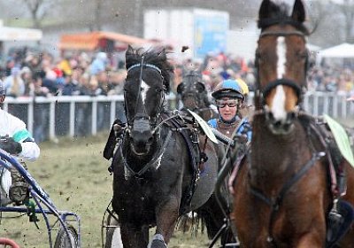 gIMG 7219d 400x266.jpg