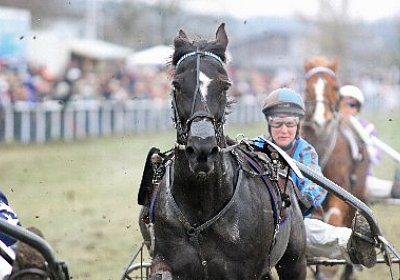 gIMG 7220d 400x266.jpg