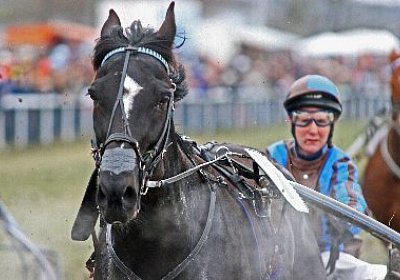 gIMG 7222d 400x266.jpg