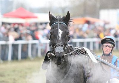 gIMG 7230 400x266.jpg