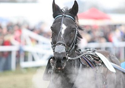 gIMG 7232 400x266.jpg