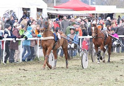 jIMG 7157 400x266.jpg