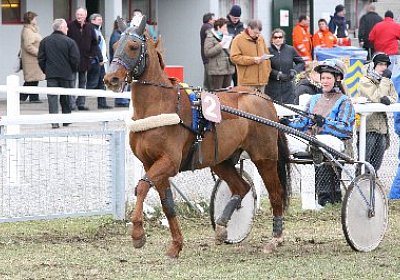 jIMG 7158 400x266.jpg