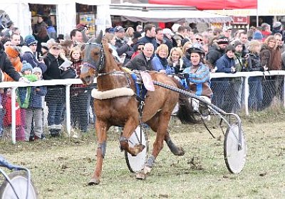 jIMG 7160 400x266.jpg